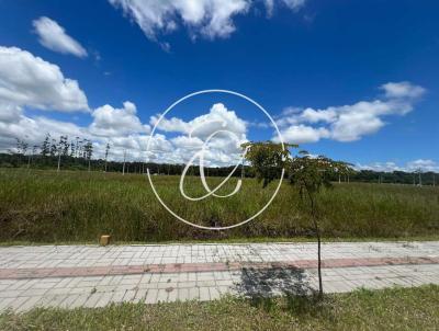 Terreno para Venda, em Araquari, bairro Itinga